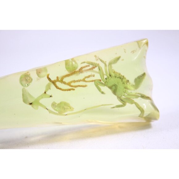 1960-1980s lucite acrylic sea theme bottle opener, taxidermy miniature crab soda - Picture 7 of 9